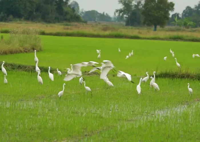 ヴィラ Heron